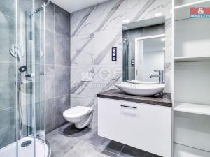 Pronájem bytu 2+kk, Plzeň - Východní Předměstí, Rychtaříkova, 28 m2