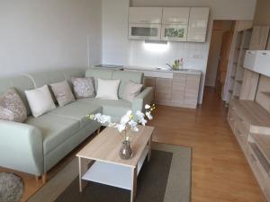 Pronájem bytu 1+kk, Liberec, Ruská, 29 m2