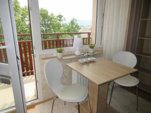 Pronájem bytu 1+kk, Liberec, Ruská, 29 m2
