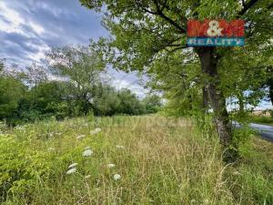 Pronájem rybníku, Žleby - Zehuby, 6119 m2