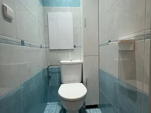 Pronájem bytu 2+kk, Hradec Králové, Jungmannova, 55 m2