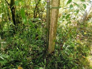 Prodej chaty, Čerňovice, 55 m2