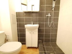 Pronájem bytu 1+kk, Ostrava, U Lípy, 28 m2