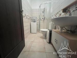 Pronájem bytu 1+kk, Kutná Hora, 40 m2