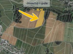 Prodej pole, Brodek u Konice, 1761 m2