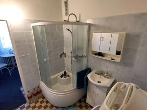 Pronájem bytu 1+1, Kopřivnice, Kpt. Nálepky, 40 m2