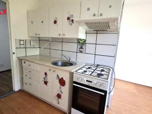 Pronájem bytu 1+1, Ostrava - Výškovice, Lužická, 34 m2