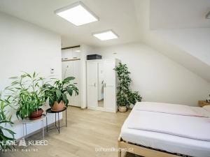 Pronájem bytu 2+kk, Jindřichův Hradec, Husova, 60 m2