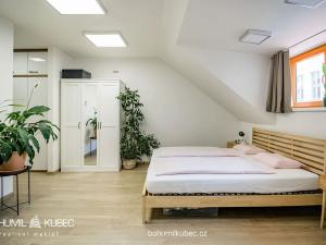 Pronájem bytu 2+kk, Jindřichův Hradec, Husova, 60 m2