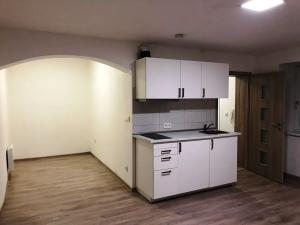 Pronájem bytu 1+kk, Brno, Křenová, 30 m2