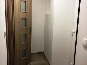 Pronájem bytu 1+kk, Brno, Křenová, 30 m2