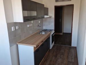Pronájem bytu 2+1, Plzeň, Sokolovská, 67 m2
