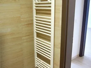 Pronájem bytu 2+kk, Olomouc, Topolová, 55 m2