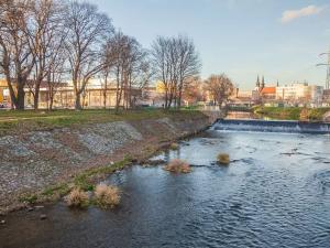 Pronájem bytu 1+kk, Brno, Tomáškova, 19 m2