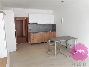 Pronájem bytu 1+kk, Olomouc, Rokycanova, 32 m2