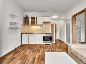Prodej bytu 1+1, Chodov, Čapkova, 38 m2