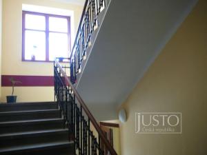 Pronájem bytu 1+kk, Písek, Nádražní, 30 m2