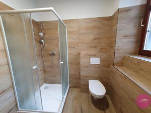 Pronájem bytu 1+kk, Olomouc, Uhelná, 33 m2