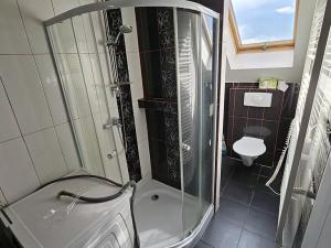 Pronájem bytu 2+1, Březová, Odborářů, 65 m2