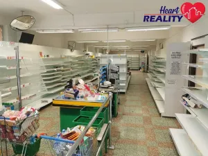 Pronájem obchodního prostoru, Dolní Benešov, Osada míru, 313 m2