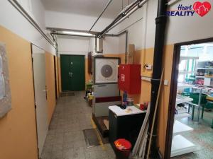 Pronájem obchodního prostoru, Dolní Benešov, Osada míru, 313 m2