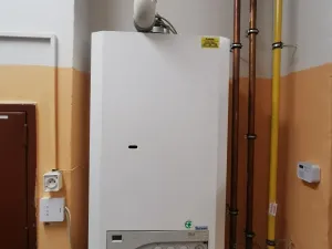 Pronájem obchodního prostoru, Dolní Benešov, Osada míru, 313 m2