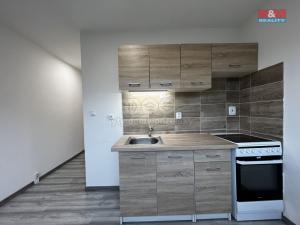 Pronájem bytu 1+1, Ústí nad Labem - Severní Terasa, Jizerská, 40 m2