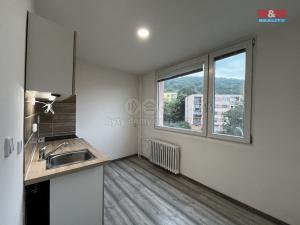 Pronájem bytu 1+1, Ústí nad Labem - Severní Terasa, Jizerská, 40 m2