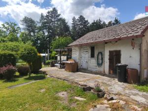 Prodej chaty, Kynšperk nad Ohří - Dolní Pochlovice, Pochlovická, 15 m2