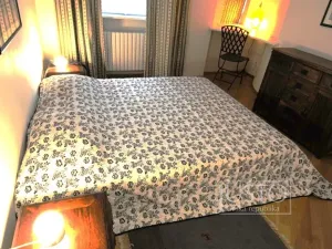 Pronájem bytu 3+1, Praha - Nové Město, Odborů, 80 m2
