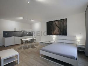 Pronájem bytu 1+kk, Brno, Kobližná, 46 m2