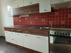 Pronájem bytu 3+1, Plzeň, Elišky Krásnohorské, 68 m2