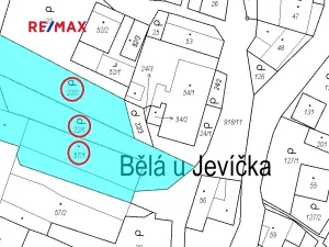 Prodej rodinného domu, Bělá u Jevíčka, 221 m2