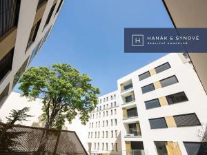 Pronájem bytu 1+kk, Brno, Cejl, 30 m2