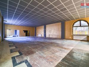 Pronájem restaurace, Plzeň - Východní Předměstí, Francouzská třída, 470 m2