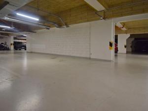 Pronájem bytu 1+kk, Praha - Dejvice, Lindleyova, 98 m2