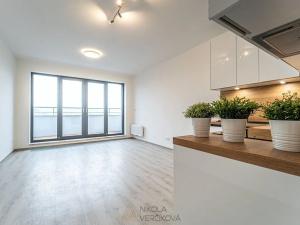 Pronájem bytu 1+kk, Brno, Opuštěná, 29 m2