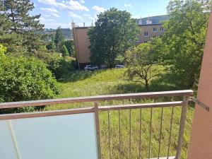 Prodej bytu 2+1, Brno, Neumannova, 60 m2