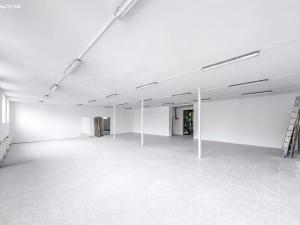 Prodej výrobních prostor, Praha - Ruzyně, Huťská, 1000 m2