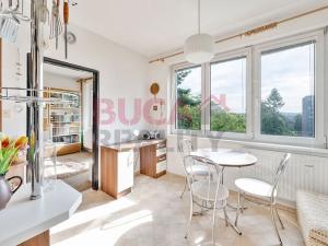 Prodej bytu 1+1, České Budějovice, J. Opletala, 38 m2