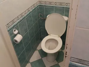 Prodej chaty, Brno, 390 m2