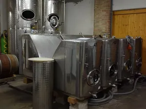 Prodej výrobních prostor, Moravská Nová Ves, Pod Kostelem, 330 m2