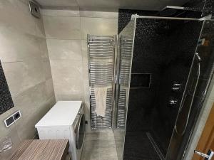 Pronájem bytu 3+kk, Opava, Na Rybníčku, 90 m2