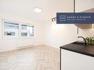 Pronájem bytu 1+kk, Brno, Cejl, 29 m2