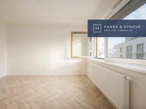 Pronájem bytu 1+kk, Brno, Cejl, 29 m2