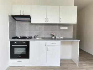 Pronájem bytu 1+1, Litvínov, Čapkova, 38 m2