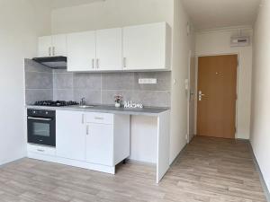 Pronájem bytu 1+1, Litvínov, Čapkova, 38 m2