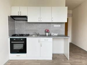 Pronájem bytu 1+1, Litvínov, Čapkova, 38 m2