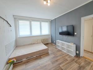 Pronájem bytu 1+1, Zlín, Díly IV, 36 m2