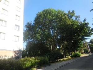 Pronájem bytu 1+1, Zlín, Díly IV, 36 m2
